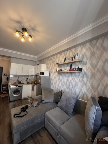 1-комн. новостройка - м. 20 января - 30 м² (2)