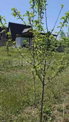 Продаётся  участок 20 сот, photo 4 from 7