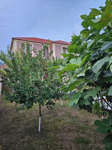 4 otaqlı həyət evi/bağ evi - Qəbələ - 130 m² (18)