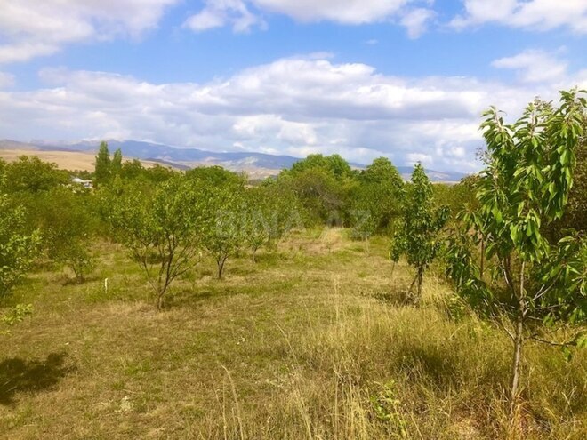 4-комн. дом/дача - Шемаха - 160 м² (9)