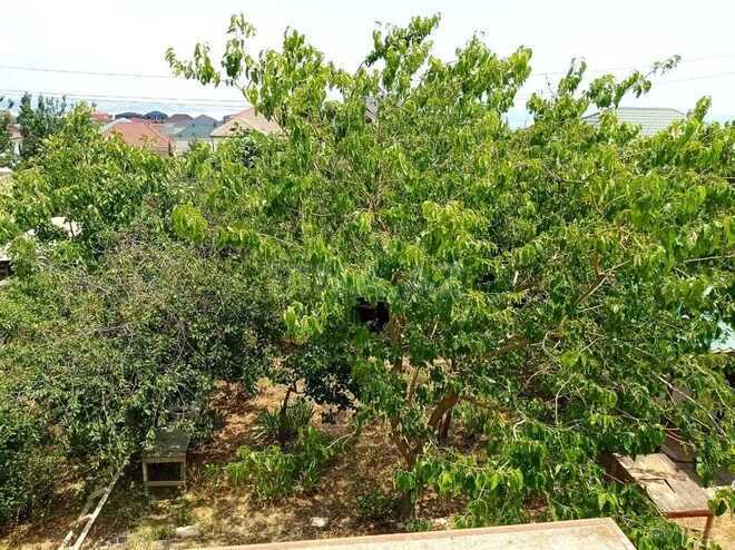 5 otaqlı həyət evi/bağ evi - Badamdar q. - 150 m² (6)