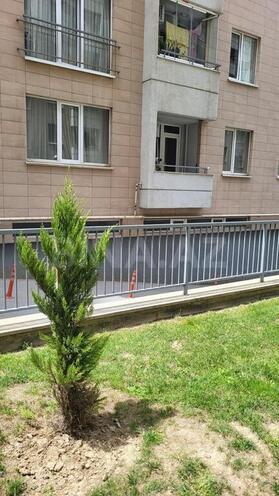 2-комн. новостройка - м. 20 января - 75 м² (11)