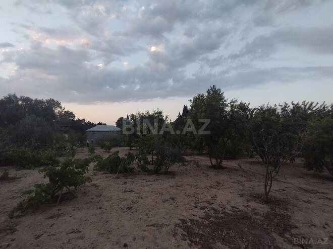 Satılır  torpaq 25 sot, Bilgəh q., photo 4 from 5