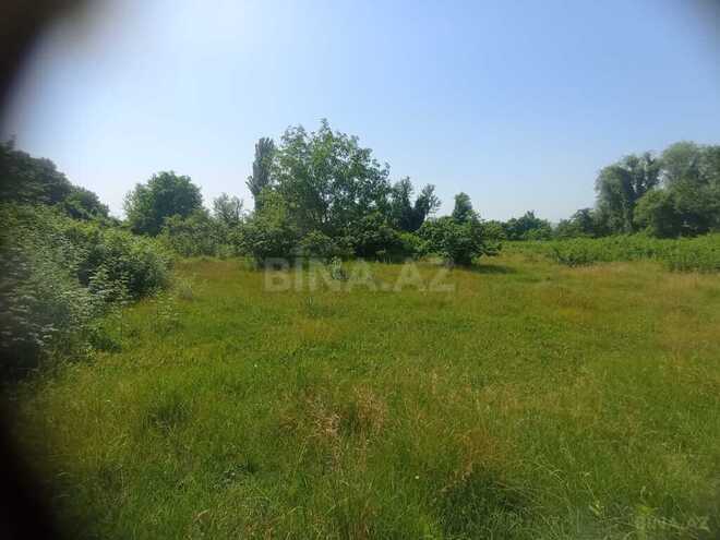 Участок - Огуз - 24 сот (1)
