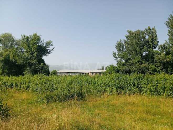 Участок - Огуз - 24 сот (5)