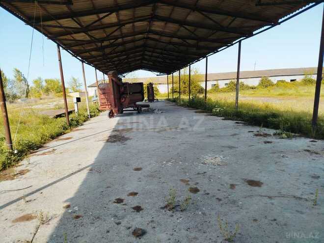 Obyekt - Sabirabad - 11.5 m² (6)