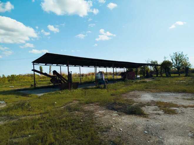 Obyekt - Sabirabad - 11.5 m² (8)