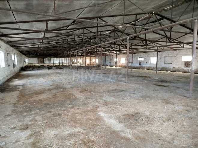 Obyekt - Sabirabad - 11.5 m² (9)