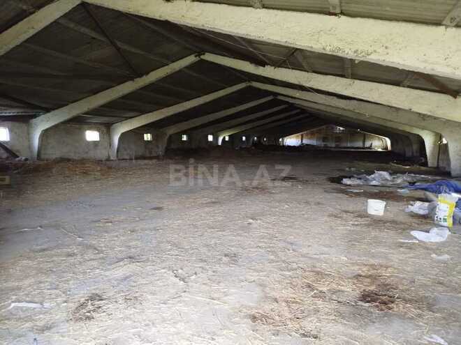 Obyekt - Sabirabad - 11.5 m² (13)