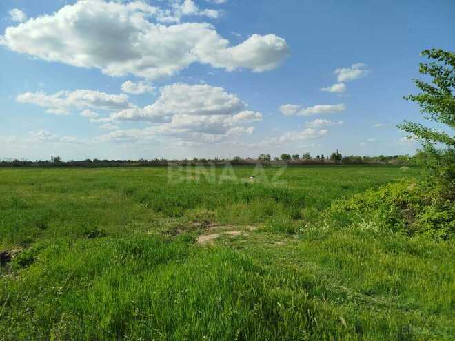 Obyekt - Sabirabad - 11.5 m² (10)
