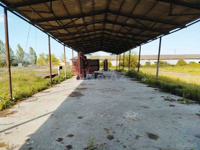 Obyekt - Sabirabad - 11.5 m² (26)