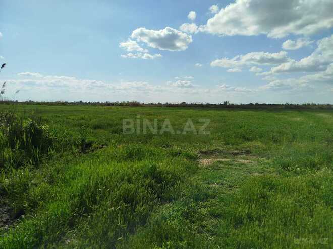 Obyekt - Sabirabad - 11.5 m² (19)