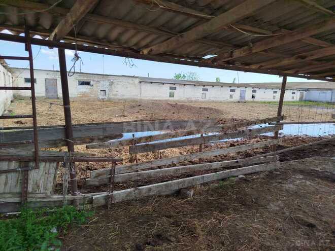 Obyekt - Sabirabad - 11.5 m² (24)