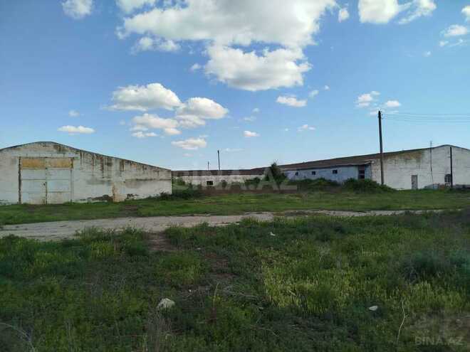 Obyekt - Sabirabad - 11.5 m² (30)