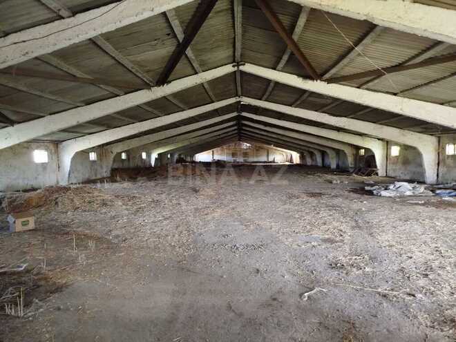 Obyekt - Sabirabad - 11.5 m² (18)