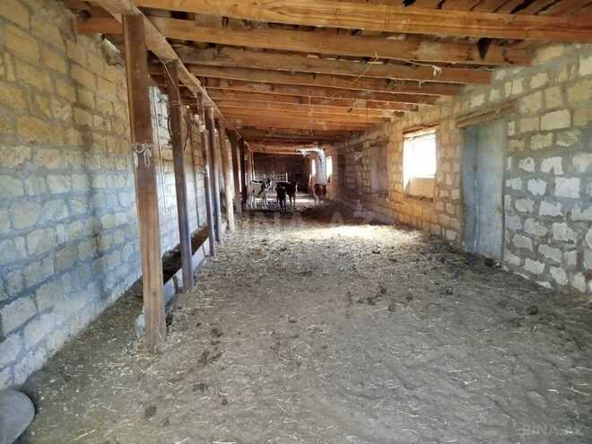 Obyekt - Sabirabad - 11.5 m² (25)