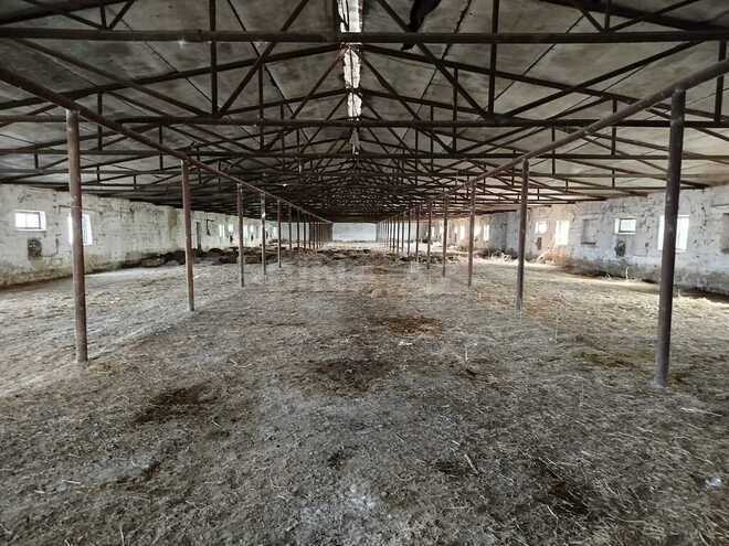 Obyekt - Sabirabad - 11.5 m² (28)