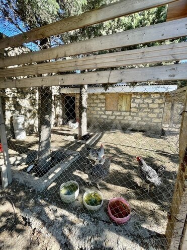 6-комн. дом/дача - пос. Новханы - 600 м² (24)