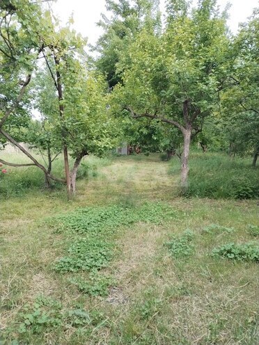 6 otaqlı həyət evi/bağ evi - Şabran - 155 m² (6)