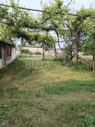 6 otaqlı həyət evi/bağ evi - Şabran - 155 m² (3)