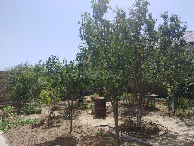 6 otaqlı həyət evi/bağ evi - Pirşağı q. - 250 m² (3)