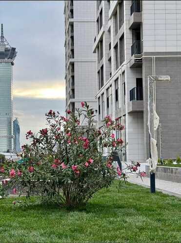 2 otaqlı yeni tikili - Koroğlu m. - 79.5 m² (15)