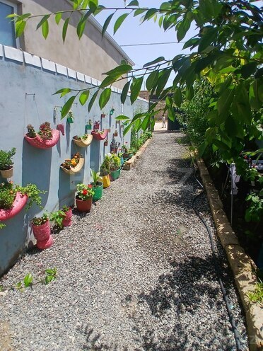 3 otaqlı həyət evi/bağ evi - Binə q. - 75 m² (2)