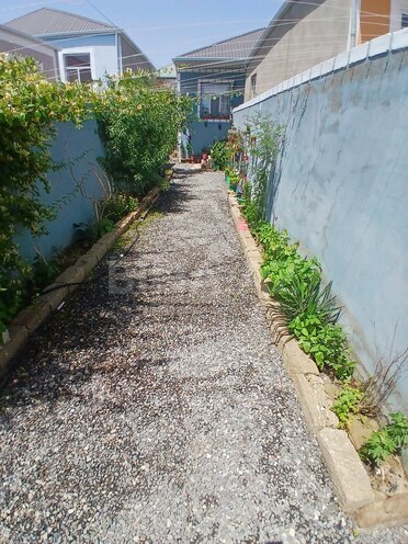 3 otaqlı həyət evi/bağ evi - Binə q. - 75 m² (5)