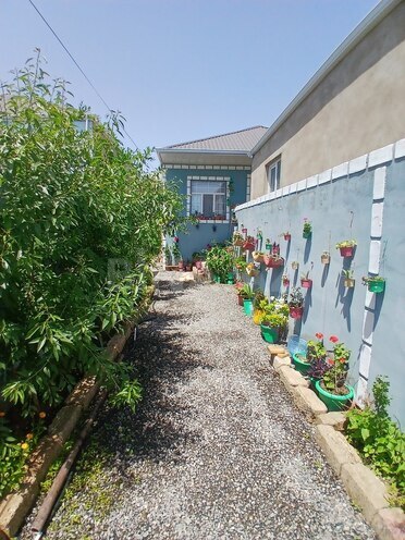 3 otaqlı həyət evi/bağ evi - Binə q. - 75 m² (4)