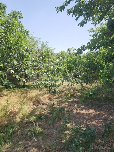 4-комн. дом/дача - пос. Новханы - 150 м² (3)