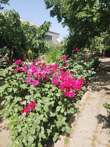 4-комн. дом/дача - пос. Новханы - 150 м² (12)