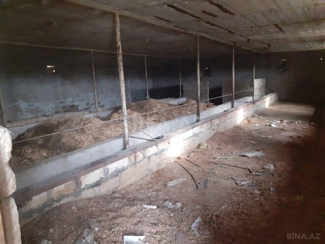 Satılır  torpaq 200 sot, Sahil q., photo 9 from 23