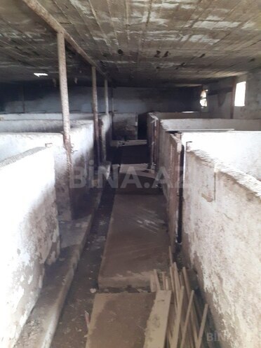 Satılır  torpaq 200 sot, Sahil q., photo 17 from 23