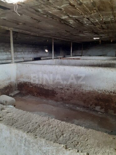 Satılır  torpaq 200 sot, Sahil q., photo 15 from 23