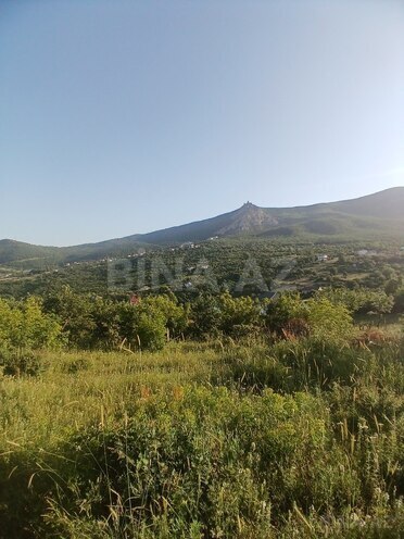 Torpaq - Şabran - 10 sot (1)