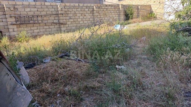 7 otaqlı həyət evi/bağ evi - Hökməli q. - 3500 m² (9)