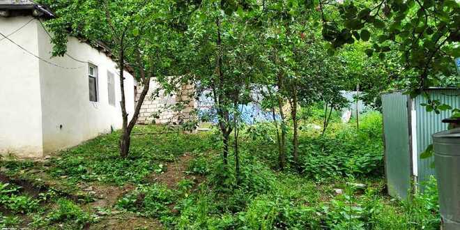 1 otaqlı həyət evi/bağ evi - Quba - 60 m² (1)