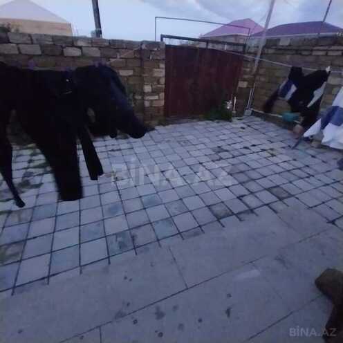 3 otaqlı həyət evi/bağ evi - Sumqayıt - 70 m² (2)