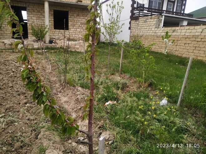 7 otaqlı həyət evi/bağ evi - Mehdiabad q. - 200 m² (13)