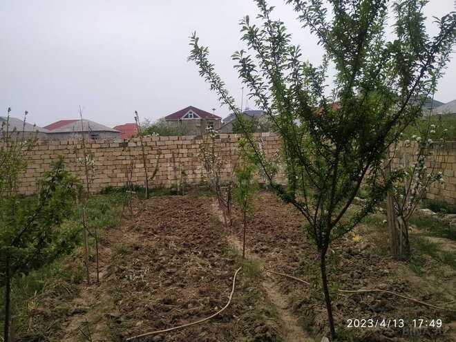 7 otaqlı həyət evi/bağ evi - Mehdiabad q. - 200 m² (10)
