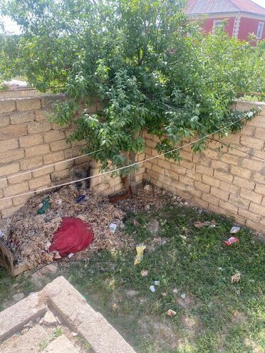 3 otaqlı həyət evi/bağ evi - Savalan q. - 90 m² (2)