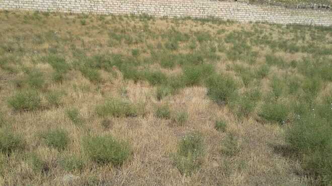 Продаётся  участок 12 сот, пос. Новханы, photo 3 from 14