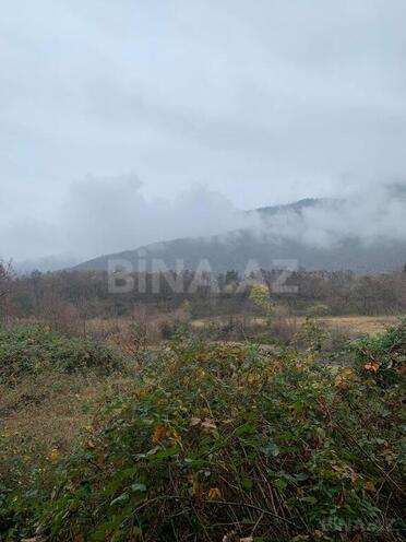 7 otaqlı həyət evi/bağ evi - Zaqatala - 400 m² (17)