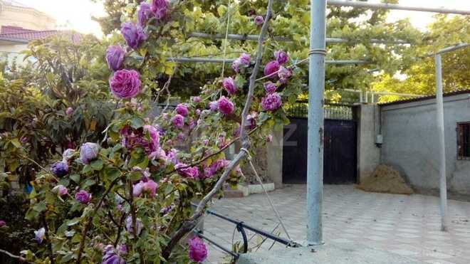5 otaqlı həyət evi/bağ evi - Biləcəri q. - 250 m² (5)