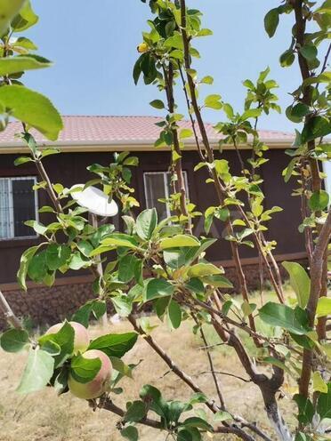 3 otaqlı həyət evi/bağ evi - Şüvəlan q. - 100 m² (3)