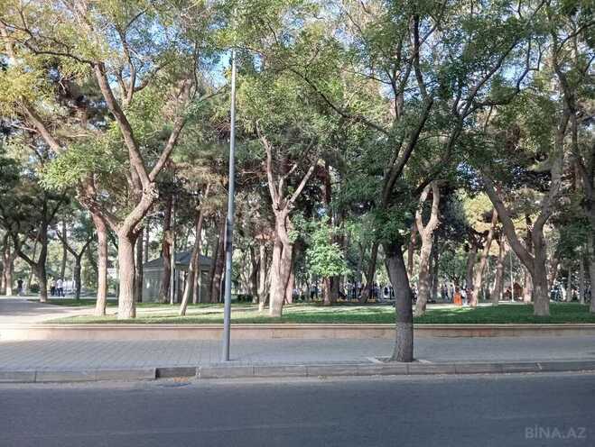 2 otaqlı yeni tikili - Nəriman Nərimanov m. - 100 m² (3)