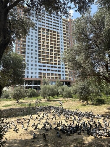 2 otaqlı yeni tikili - Nəsimi m. - 110.8 m² (5)
