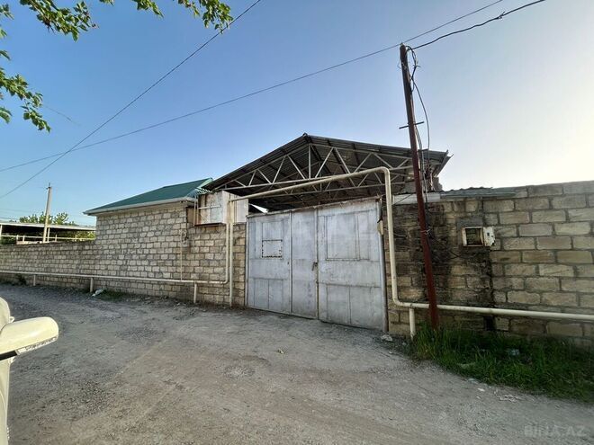 Участок - Агдаш - 600 сот (1)