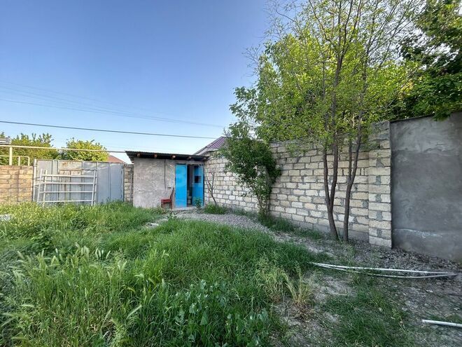 Участок - Агдаш - 600 сот (16)