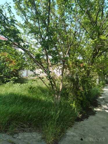 9 otaqlı həyət evi/bağ evi - Nardaran q. - 500 m² (11)